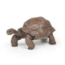  Galapagosi teknős játékfigura