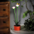 Garden Of Eden Szolár színes virág - 8 x 8 x 32 cm - 10 melegfehér LED - lila