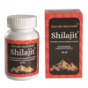 Garuda Ayurveda Shilajit kapszula 60 db