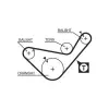 Gates Fogasszíj 5436XS