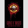 GEFFEN Guns N' Roses - Welcome To The Videos (DVD)