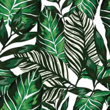 Gekkofix House plants bútorfólia öntapadós tapéta tapéta, díszléc és más dekoráció