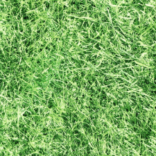 Gekkofix Pázsit öntapadós tapéta 67,5cmx2m tapéta, díszléc és más dekoráció