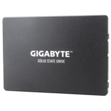 Gigabyte 256GB (GP-GSTFS31256GTND) merevlemez