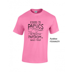 GILDAN Póló - Eddig is papucs voltam...legénybúcsú