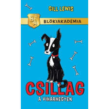 Gill Lewis LEWIS, GILL - CSILLAG A VIHARHEGYEN - BLÖKIAKADÉMIA gyermek- és ifjúsági könyv