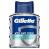  Gillette After Shave 100ml