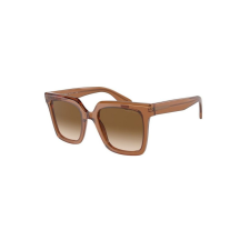 Giorgio Armani AR8156-593251 Női napszemüveg napszemüveg