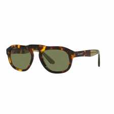 Giorgio Armani AR8173-50922A Férfi napszemüveg napszemüveg
