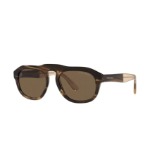  GIORGIO ARMANI AR8173-595873 Férfi napszemüveg