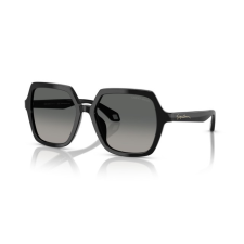 Giorgio Armani AR8193U 500119 BLACK GRADIENT GREY napszemüveg napszemüveg