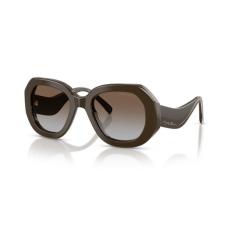 Giorgio Armani AR8248 634089 BROWN GREY GRADIENT BROWN napszemüveg