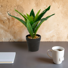 Globiz International Kft. Műnövény dekoráció - zöld sáfrányfa - 20 x 8,5 cm dekoráció