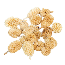 Golddeko Casuarina fehérített 16dkg/csomag dekorációs kellék