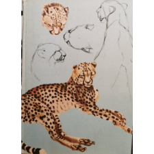 Gondolat Kiadó A pettyes szfinx nyomában - Joy Adamson antikvárium - használt könyv