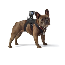 GoPro kutyahám (Fetch) sportkamera kellék