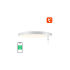 GOSUND LB11 WiFi/Bluetooth intelligens mennyezeti lámpa, 1920lm, 32cm, 16M, Tuya + távirányító