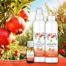 Greenyshop mosóparfüm, gyümölcsös varázslat, 200ml tisztító- és takarítószer, higiénia