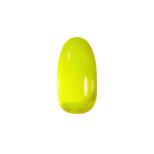 Guangzhou Merry Tech NiiZA Gel Polish 7ml - 499 Üveg Hatású lakk zselé