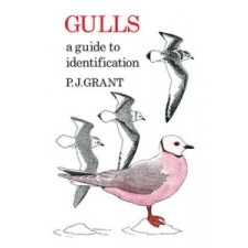  Gulls: A Guide to Identification – P.J. Grant idegen nyelvű könyv
