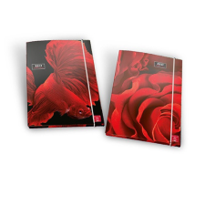  Gumis mappa Pigna Red Shiver A/4 mappa