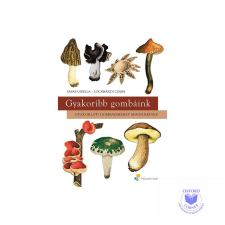  Gyakoribb gombáink - Gyakorlati gombaismeret mindenkinek tankönyv