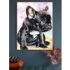  Gyémántszemes kirakó 30 x 40 cm - Kölyök francia buldog