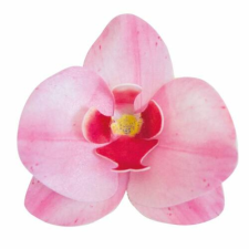 Gyertyakovács 10 db rózsaszín orchidea ostyavirág sütés és főzés