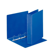  Gyűrűs könyv, panorámás, 4 gyűrű, D alakú, 65 mm, A4, PP, ESSELTE, kék gyűrűskönyv