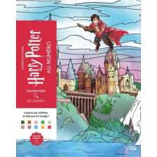 Hachette Heroes Harry Potter au numéro egyéb könyv