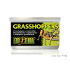 Hagen Exo-Terra Grasshoppers - hüllőeledel (szöcske) 34g