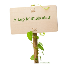  HAIRWONDER REG. HAJKONDÍCIONÁLÓ /11210/ hajápoló szer