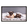 hamat Lábtörlő, nyomtatott mintás, Image "012" Dog&amp;Cat, 40x60cm