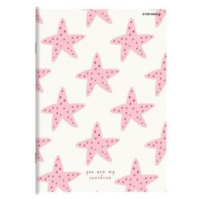  Hamelin kockás füzet, Csillag (A4/87-32) füzet