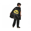Hammy Batman jelmez