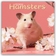  Hamsters - Hamster 2025 - 16-Monatskalender – Avonside Publishing Ltd naptár, kalendárium