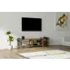  Hanah Home Zeyna TV állvány dió és antracit színben