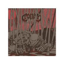HANGFELVÉTELKIADÓ KFT. Conan - Evidence Of Immortality (Digipak) (CD) heavy metal
