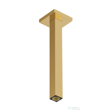 Hansgrohe E 30 cm-es mennyezeti zuhanykar, polírozott arany hatású 24339990 csaptelep