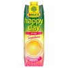  Happy Day Orange-Sunshine 25% 1L