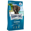 Happy Dog Sensible Karibik