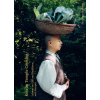 Hardie Grant Books Korean Temple Cooking | Véronique Hoegger