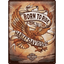  Harley Davidson – Born To Ride Fémtábla dekoráció