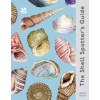 HarperCollins Publishers Shell-spotter's Guide – Dr Helen Scales