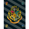  Harry Potter Crest  polár takaró 100x150cm