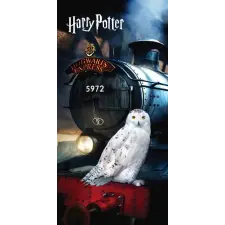 Harry Potter Harry Potter Hedwig fürdőlepedő, strand törölköző 70x140cm lakástextília