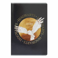  Harry Potter vonalas füzet - A5 60 lapos - Hedwig baglyos füzet