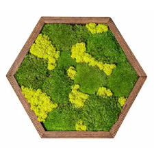  Hatszög falikép, mahagóni színű fa keretes, többszínű zöld zuzmóval (Midi 40x35 cm) grafika, keretezett kép