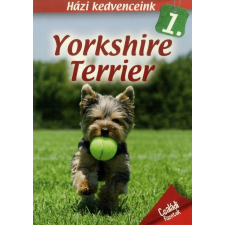Házi kedvenceink 1. : Yorkshire terrier hobbi, szabadidő