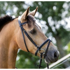 HB 303  Kantár Basic fekete bélelt  fehér béléssel pony lófelszerelés lószerszám lófelszerelés